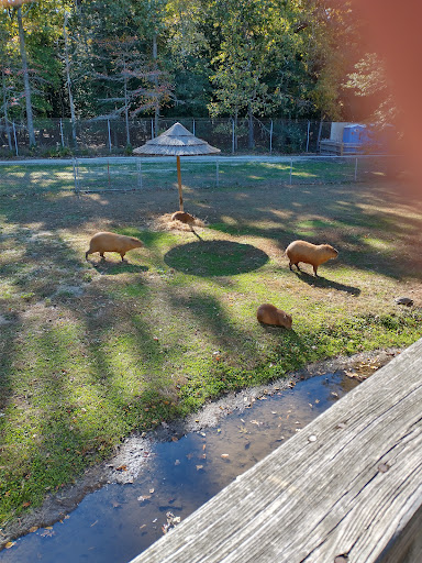 Zoo «Cape May County Park & Zoo», reviews and photos, 707 U.S. 9, Cape May Court House, NJ 08210, USA