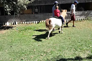 Bismillah Animal Farm and Playground image
