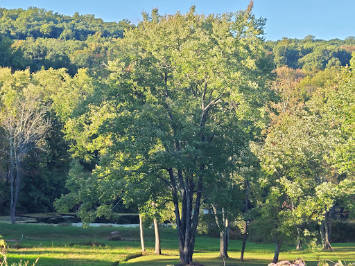 Nature Preserve «Teetertown Ravine Nature Preserve», reviews and photos, 30 Pleasant Grove Rd, Port Murray, NJ 07865, USA