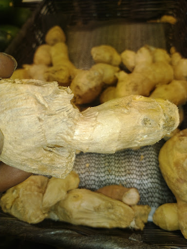 Grocery Store «Fresh Foods IGA», reviews and photos, 116 N Walnut St, Fairmont, NC 28340, USA