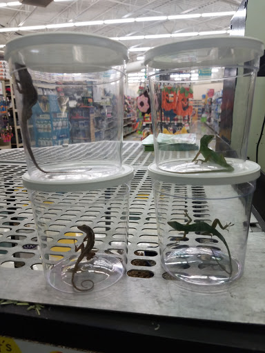 Pet Supply Store «Pet Supplies Plus», reviews and photos, 3340 Sheridan Dr, Amherst, NY 14226, USA