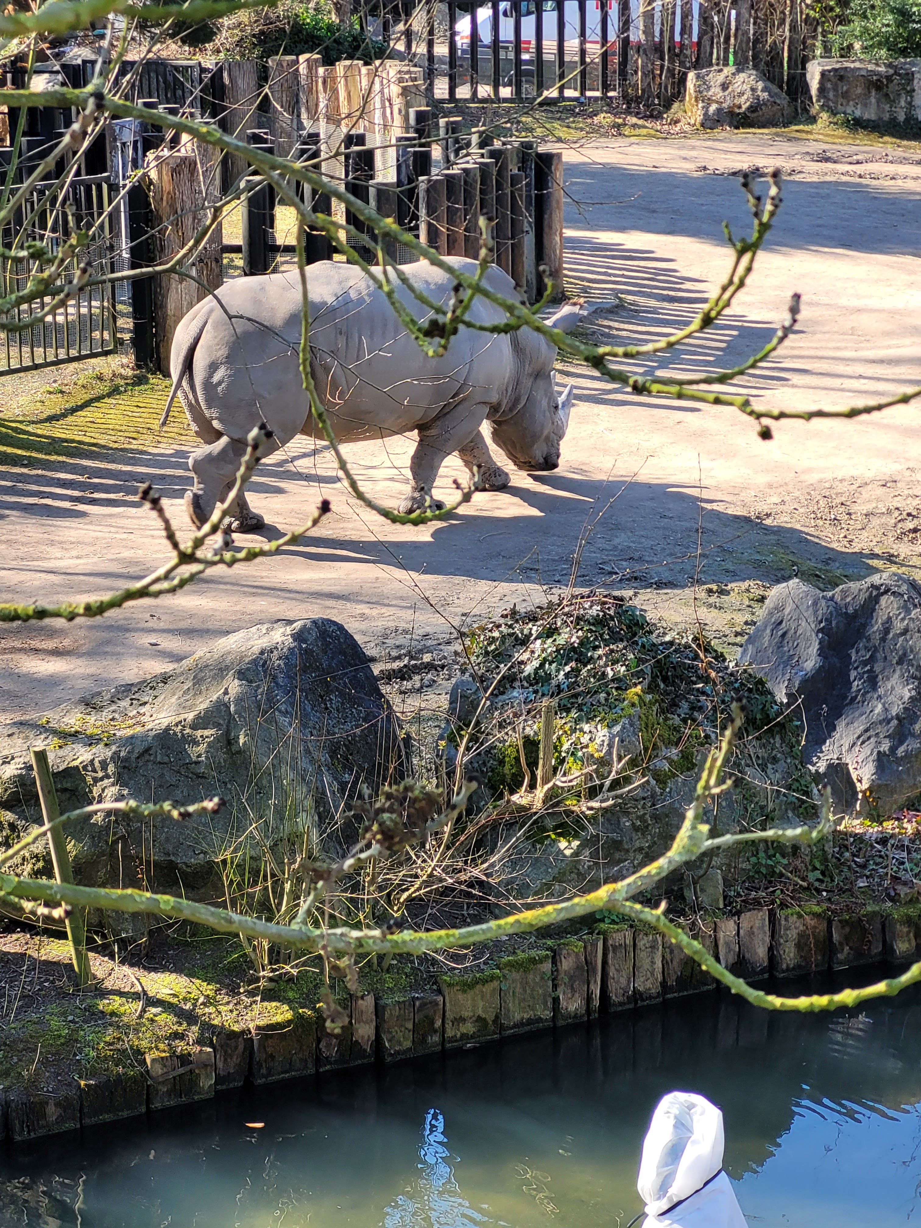 Photo n° 6 de l'avis de mickael. fait le 23/03/2022 à 21:58