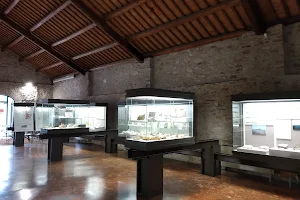 Museo di Cava Bomba image