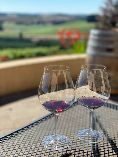 Vineyard «Willamette Valley Vineyards», reviews and photos, 8800 Enchanted Way SE, Turner, OR 97392, USA