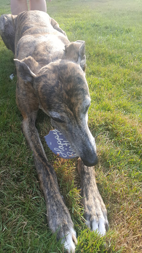 Pet Store «Park Avenue Birds & Pet Supply», reviews and photos, 120 W Center St, West Bridgewater, MA 02379, USA