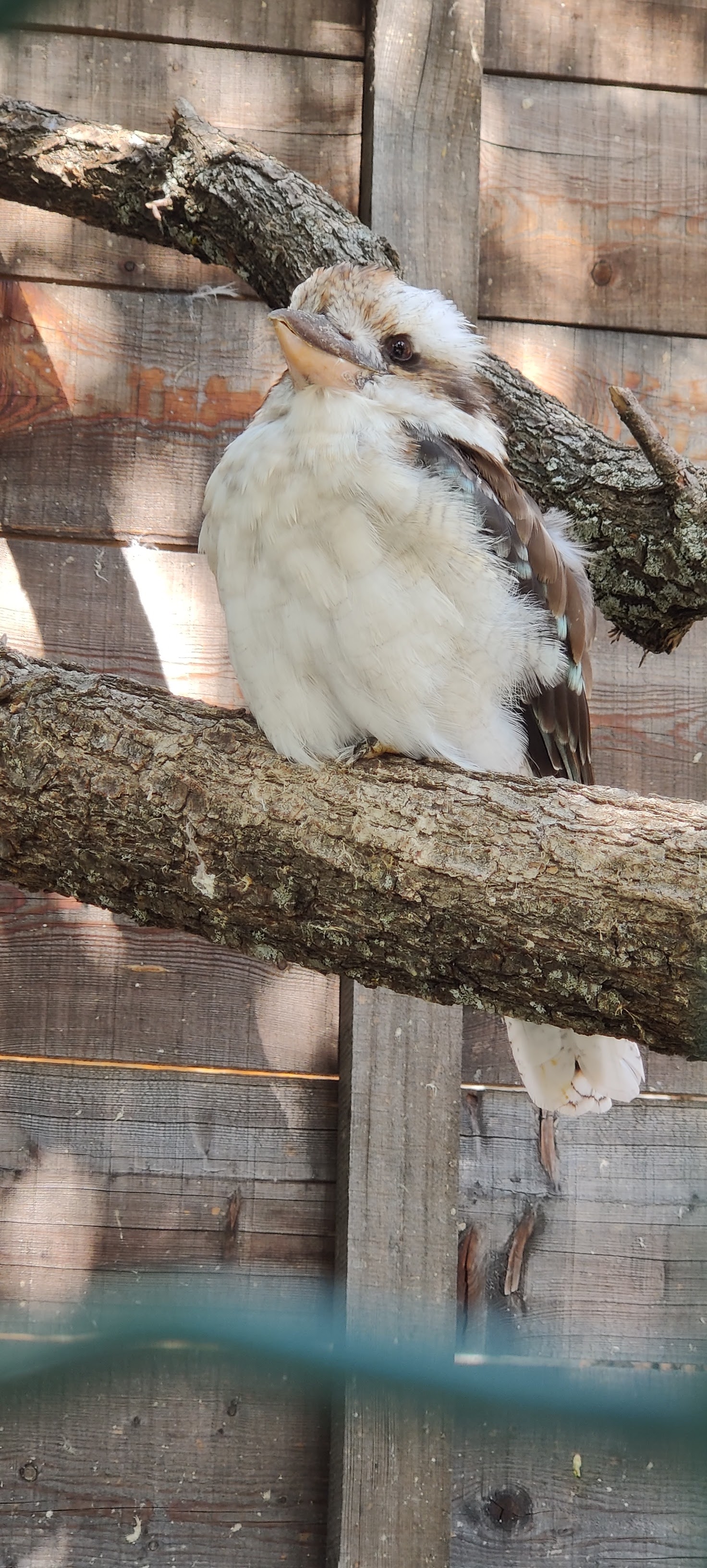 Photo n° 9 de l'avis de Carole. fait le 25/08/2021 à 16:01