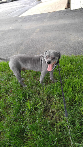 Pet Store «Abrams and Weakley General Store for Animals», reviews and photos, 3963 N 6th St, Harrisburg, PA 17110, USA