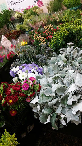 Garden Center «Repetto Florist and Nursery», reviews and photos, 12331 San Mateo Rd, Half Moon Bay, CA 94019, USA