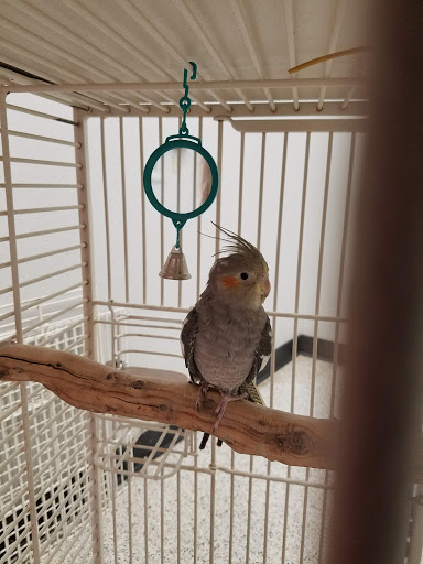 Pet Supply Store «Petco Animal Supplies», reviews and photos, 682 Broadway #1n, Saugus, MA 01906, USA