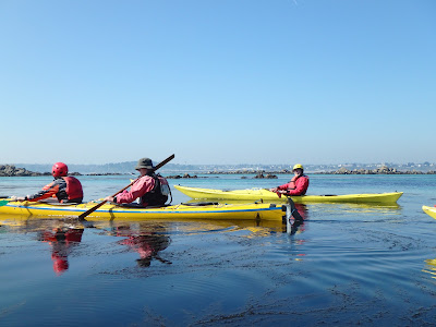 Eckla - Club de Canoë Kayak à Saint-Samson-sur-Rance