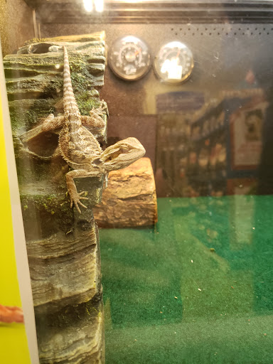 Pet Supply Store «PetSmart», reviews and photos, 976 IL-59, Aurora, IL 60504, USA