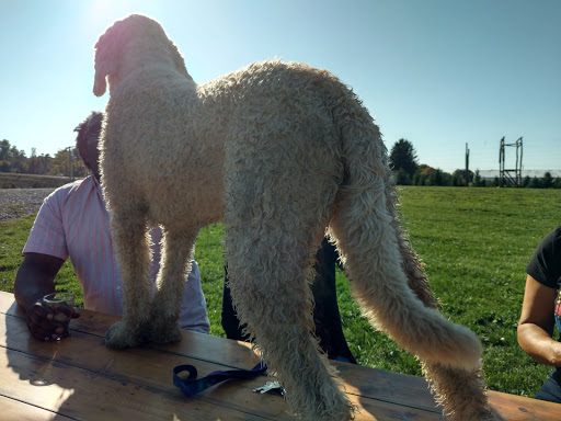 Climbing Bines Hop Farm & Brewery