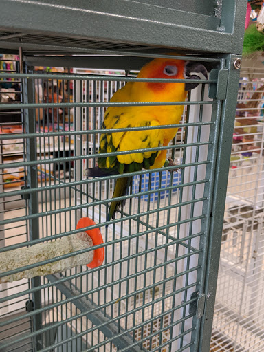 Pet Supply Store «Pet Valu», reviews and photos, 541 S Breiel Blvd, Middletown, OH 45044, USA