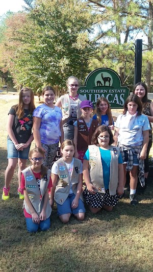 Southern Estate Alpacas - photo 40