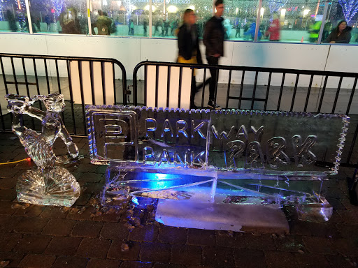 Tourist Attraction «Frozemont Ice Skating», reviews and photos, 5501 Park Pl, Rosemont, IL 60018, USA