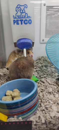 Pet Supply Store «Petco Animal Supplies», reviews and photos, 1919 El Camino Real, Mountain View, CA 94040, USA