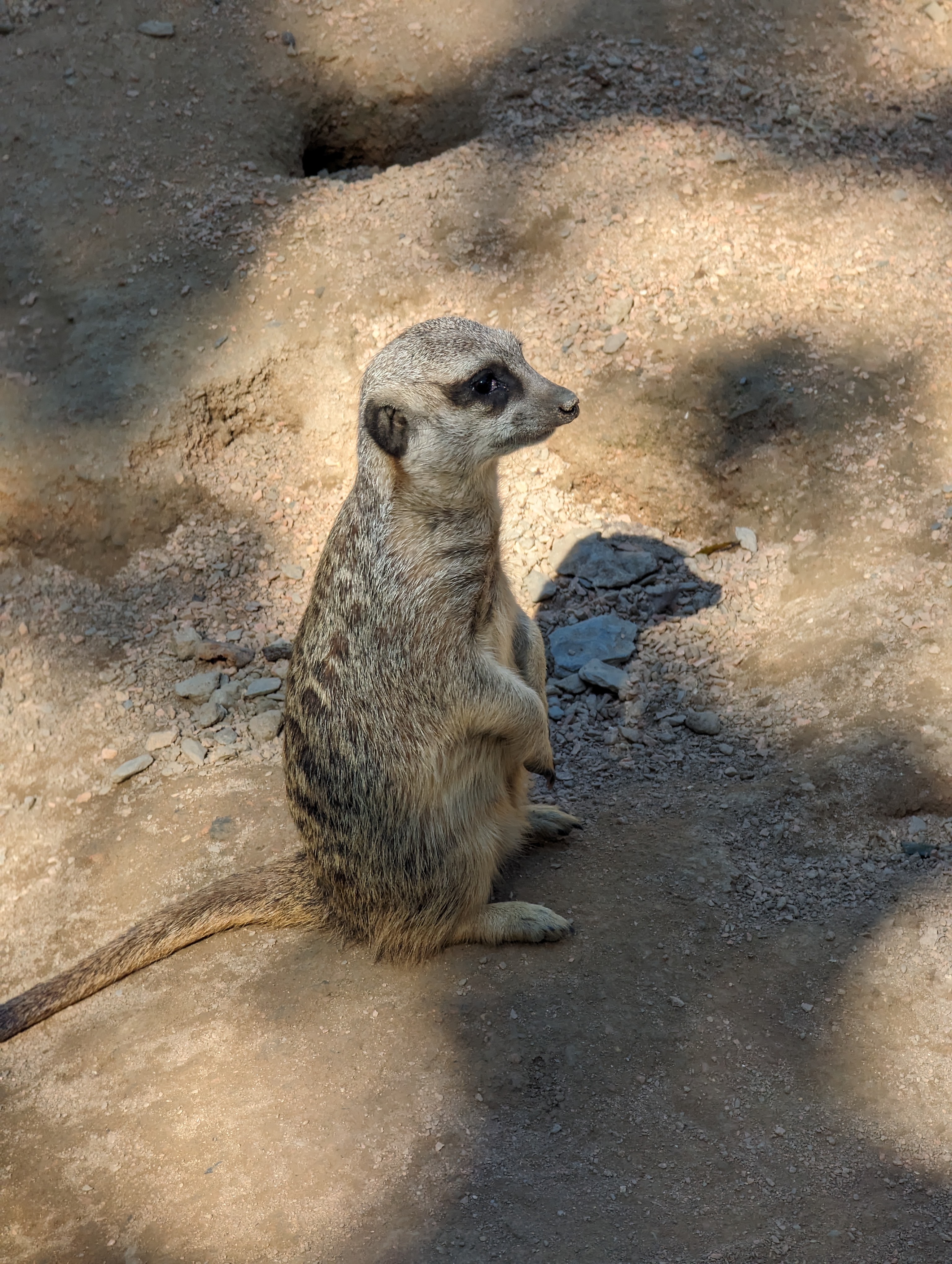 Photo n° 47 de l'avis de Thibaud.l fait le 10/10/2023 à 07:10