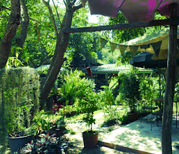 Praw & Plean Green House Cafe photo