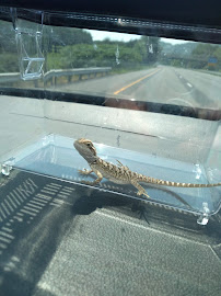 Petco - Photo 5 - Car repair in Hagerstown, MD, Hagerstown