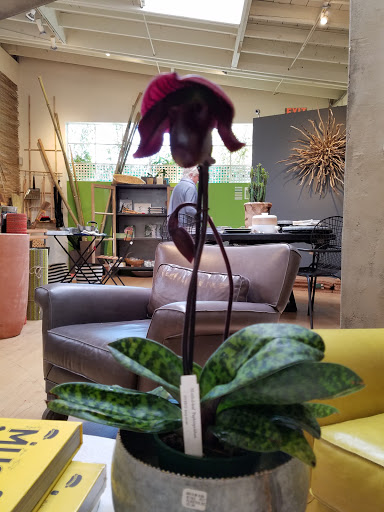 Shopping Mall «Fourth Street Shops», reviews and photos, 1834 Fourth St, Berkeley, CA 94710, USA