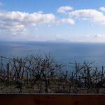 Photo n°2 de l'avis de Tomas.i fait le 30/01/2022 à 13:04 sur le  O sole mio Francesco à Ischia