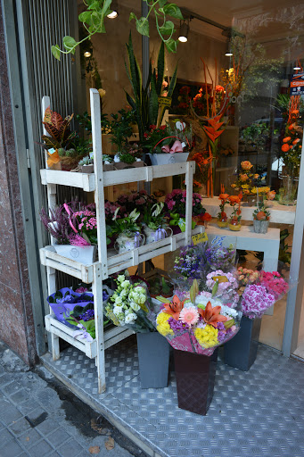 Floristeria Fiori