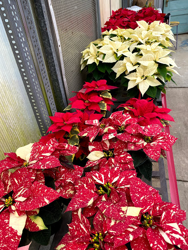 Garden Center «Quality Gardens», reviews and photos, 409 PA-228, Valencia, PA 16059, USA