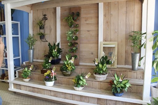 Florist «Driftwood Florist», reviews and photos, 711 W Indiantown Rd, Jupiter, FL 33458, USA