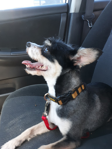 Pet Supply Store «PetSmart», reviews and photos, 3 McKenna Rd, Arden, NC 28704, USA