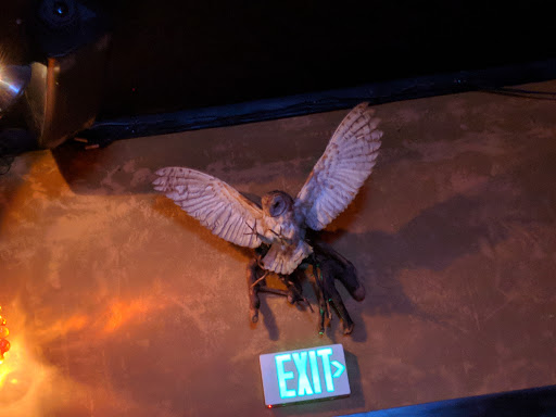 Live Music Venue «Chop Suey», reviews and photos, 1325 E Madison St, Seattle, WA 98122, USA