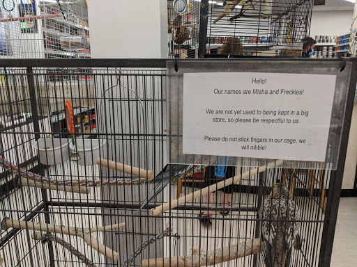 Hardware Store «Acton Ace Hardware», reviews and photos, 210 Main St, Acton, MA 01720, USA