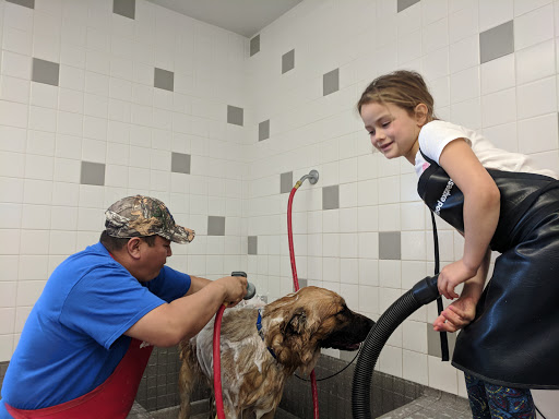 Pet Supply Store «Pet Food Express», reviews and photos, 912 Diablo Ave, Novato, CA 94947, USA