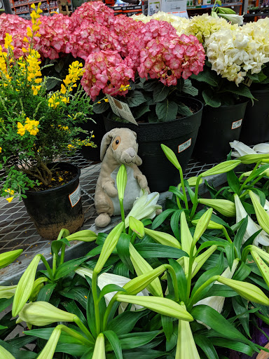 Home Improvement Store «The Home Depot», reviews and photos, 2104 E Independence St, Springfield, MO 65804, USA