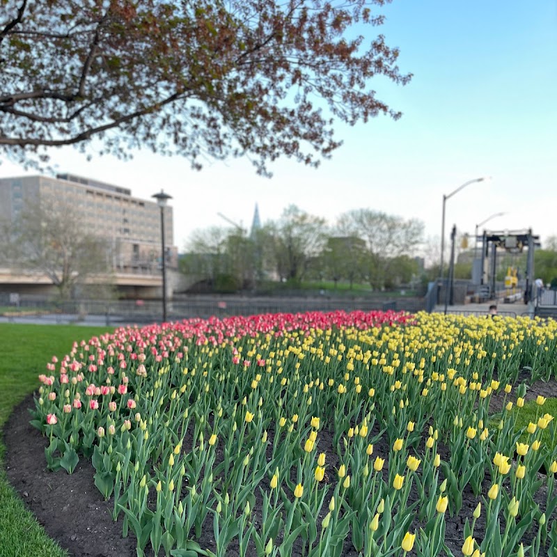 International Peace Garden