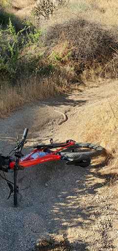 Bicycle Repair Shop «Two Wheel Jones Bicycles - Mesa», reviews and photos, 2837 N Power Rd #110, Mesa, AZ 85215, USA