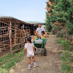 Photo n°5 de l'avis de E.a fait le 28/06/2023 à 15:13 sur le  Ristorante La Casa di Campagna-Agriturismo à Magione
