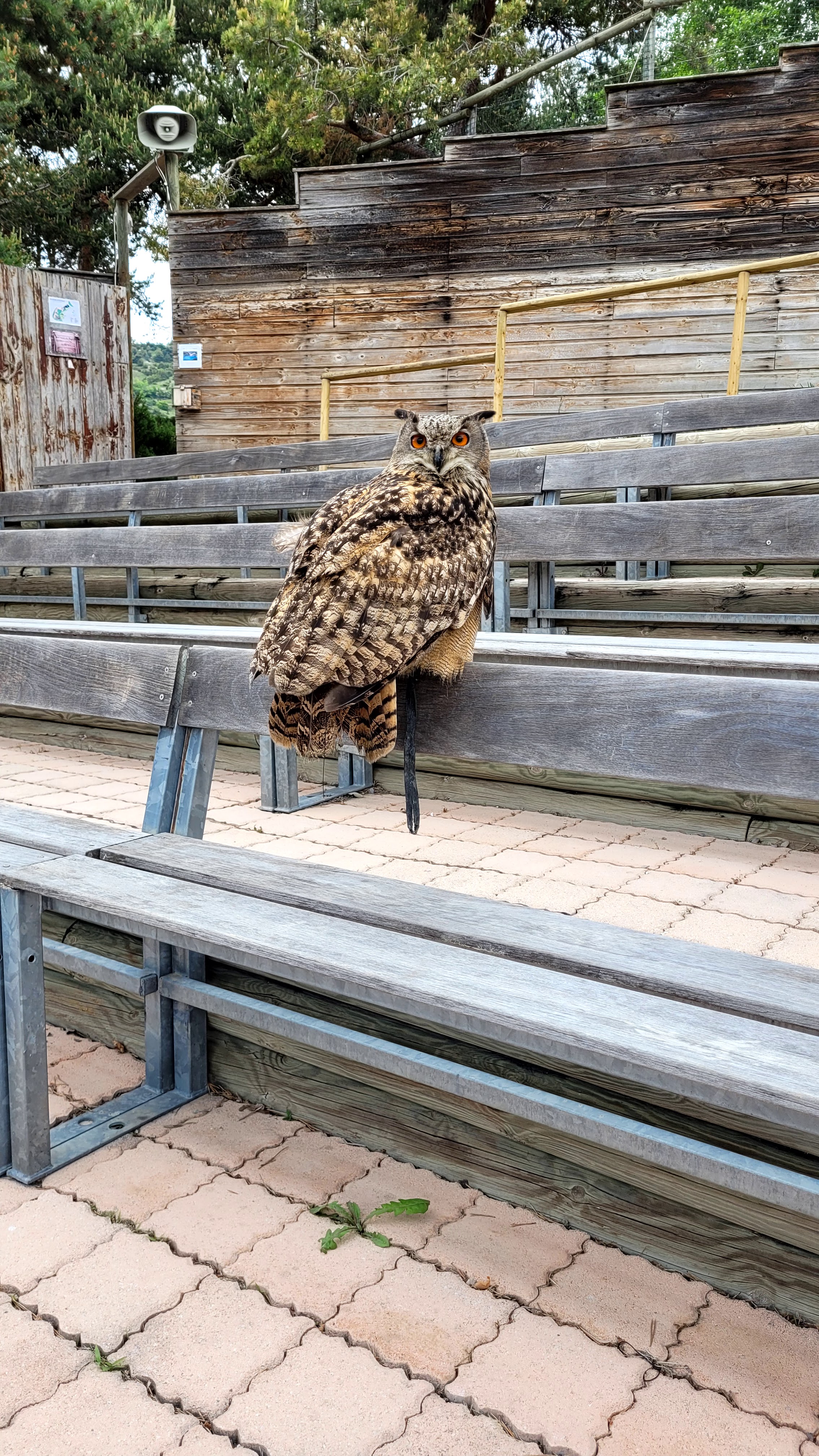 Photo n° 18 de l'avis de PASSIONS.O fait le 24/05/2023 à 09:56