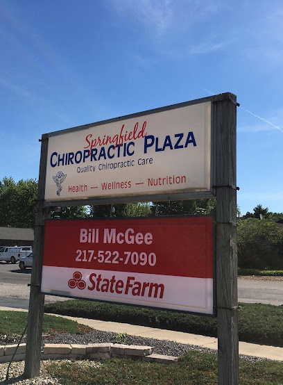Allen Chiropractic - Pet Food Store in Springfield Illinois