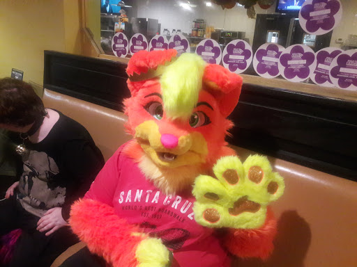 Shopping Mall «Town Line Plaza», reviews and photos, 80 Town Line Rd, Rocky Hill, CT 06067, USA