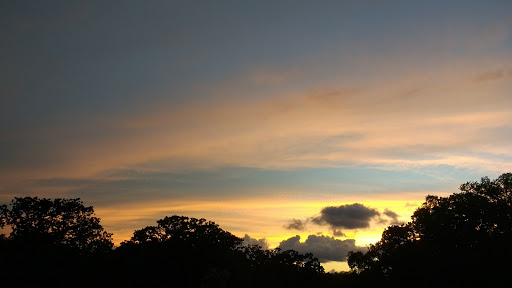 Park «Randol Mill Park», reviews and photos, 1901 W Randol Mill Rd, Arlington, TX 76012, USA