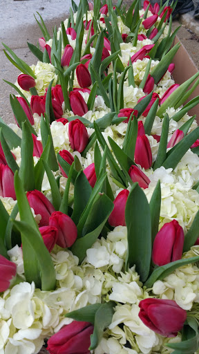 Florist «Prestige Floral Studio», reviews and photos, 6602 Barrington Rd F, Hanover Park, IL 60133, USA