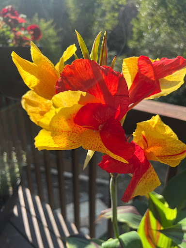 Home Improvement Store «The Home Depot», reviews and photos, 20260 SW Pacific Hwy, Sherwood, OR 97140, USA