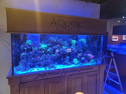 Tropical Fish Store «Aquatic Evolution LLC», reviews and photos, 23 1330 W, Orem, UT 84057, USA