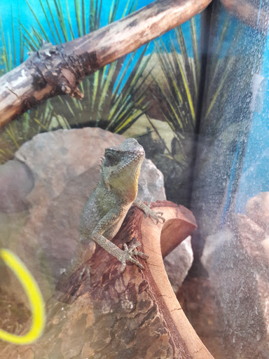 Pet Supply Store «CountryMax - Brockport», reviews and photos, 4875 Lake Rd N, Brockport, NY 14420, USA