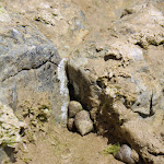 Photo n°5 de l'avis de Jerome.r fait le 20/06/2019 à 10:44 sur le  Lounge Beach Scala dei Turchi à Realmonte