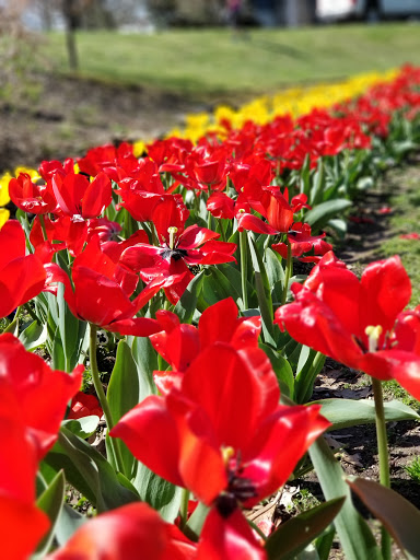 Art Museum «The Parthenon», reviews and photos, 2500 West End Ave, Nashville, TN 37203, USA