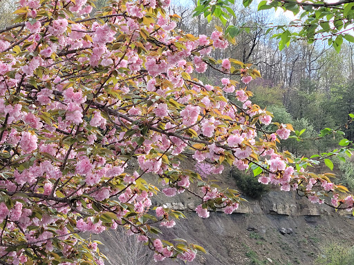 Home Improvement Store «The Home Depot», reviews and photos, 1100 Liberty Park Dr, Hurricane, WV 25526, USA