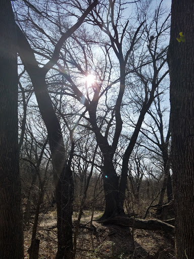 Recreation Center «Oak Point Recreation Center», reviews and photos, 6000 Jupiter Rd, Plano, TX 75074, USA