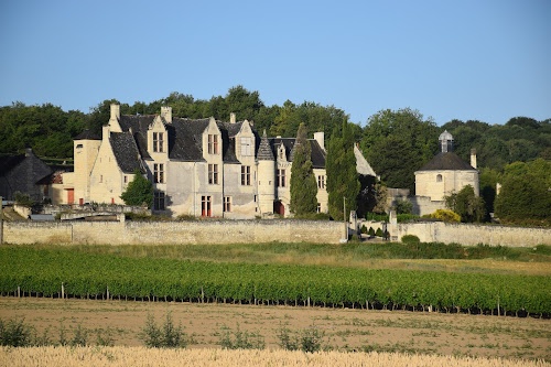 Gites Château de La Vauguyon à Chinon