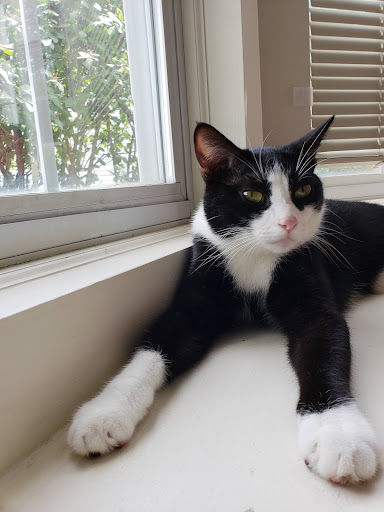 Pet Supply Store «PetSmart», reviews and photos, 1550 Butterfield Rd, Downers Grove, IL 60515, USA